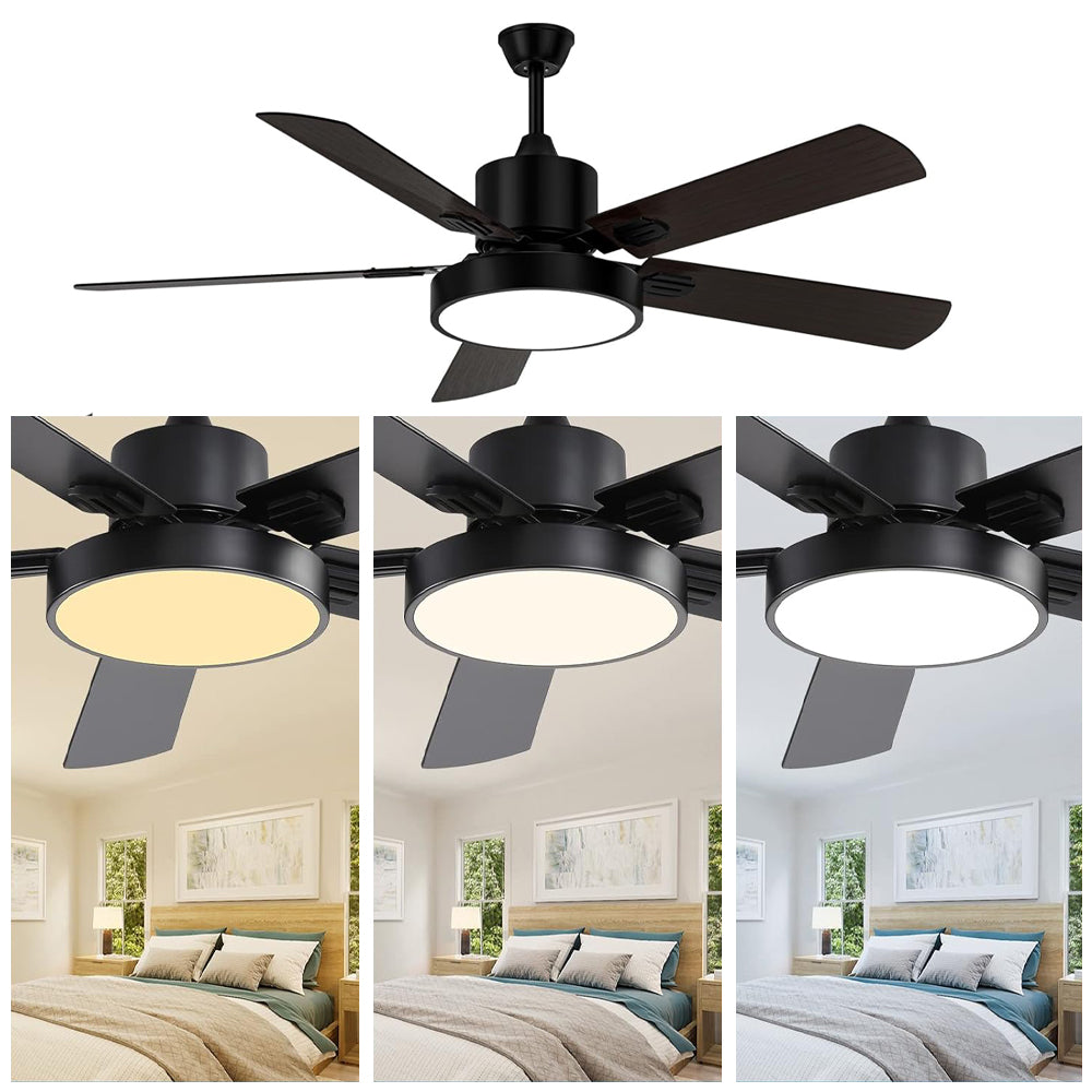 Ceiling Fan with Light and Remote